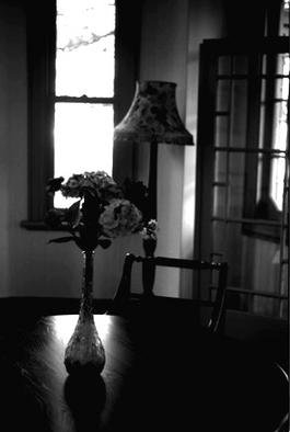 Hidesawa Sudo; Flowers, 2002, Original Photography Black and White, 8 x 10 inches. Artwork description: 241 Archival Inkjet Print...