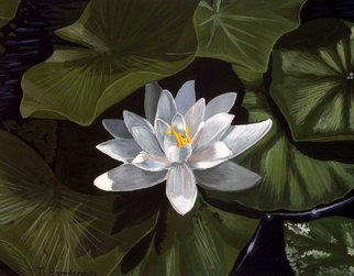 Tatyana Bondareva; White Water Lily, 2010, Original Painting Other, 35 x 25 cm. Artwork description: 241   Lilies, water lily, gouache  ...