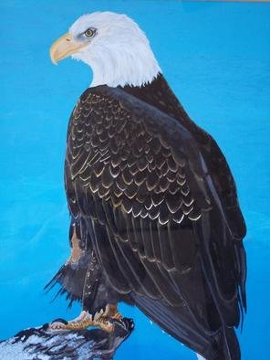 Teresa Peterson; Bald Eagle, 2000, Original Painting Acrylic, 11 x 14 inches. Artwork description: 241  American Bald Eagle ...