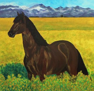 Tina Noya; Buttercups, 2011, Original Painting Acrylic, 40 x 40 cm. Artwork description: 241 An Andalucian horse in a buttercup- field....