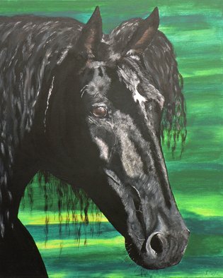 Tina Noya; Caballo Andaluz, 2011, Original Painting Acrylic, 50 x 60 cm. Artwork description: 241 Andalucian Horse  ...