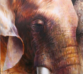 Vali Irina Ciobanu; Ivory, 2008, Original Painting Oil, 99 x 90 cm. Artwork description: 241  elephant head , animal, elephants, eye, elephant eye, eyes, eyes of ivory, iviry, white ivory, white, emphaty, vali Irina ciobanu, vicart, sad, sadness, melancholye,...