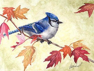 Colette Theriault; Autumn Jay, 2003, Original Watercolor, 10 x 8 inches. Artwork description: 241 Almost everyone can identify this beautiful blue bird of the northern forests. The scientific name Cyanocitta cristata refers to the crested blue feathers on the head. Jays belong to the crow family and are amongst the largest of the passerines or perching birds.This is an original ...