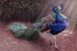 Colette Theriault; Jewel Of India, Blue Peacock, 2009, Original Pastel, 12 x 15 inches. 