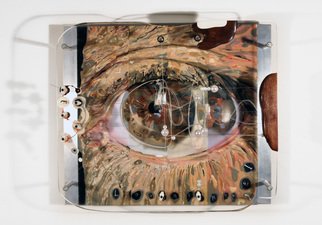 Viorel  Popescu; I            NSTRUMENT 1, 2014, Original Mixed Media, 16.5 x 16.5 inches. Artwork description: 241  Oil on canvas, aluminum frame, acrylic, wood, violin keys, bone, horse hair                                          ...