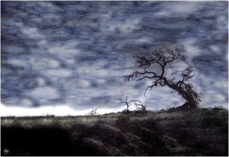 Wayne King; California, 2008, Original Photography Mixed Media, 20 x 30 inches. Artwork description: 241  California Oak in a painted sky. Moody and evocative image  ...