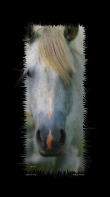 Wayne King; Pink On Blonde, 2014, Original Poster, 18 x 36 inches. Artwork description: 241  Blond horse with a pink blaze. Manipulated color image.  ...