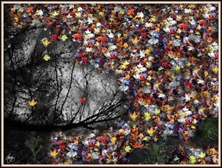 Wayne King; Pollacks Pool, 2014, Original Photography Color, 24 x 18.5 inches. Artwork description: 241  Montage of images depicting a pool and silhouette with maple leaves around the edges. / pollack, jackson, pool, foliage, leaves, leaf, fall, autumn, water, Decorative Art, Fine Art, color. ...