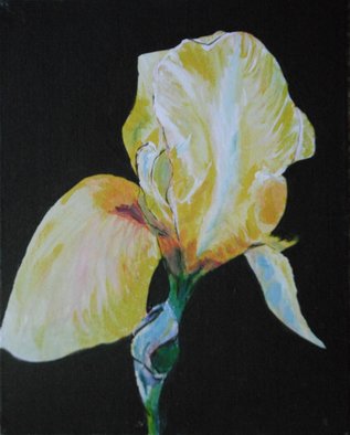 Wendy Goerl; Isolated Iris, 2011, Original Painting Acrylic, 8 x 10 inches. Artwork description: 241  One good look at one iris. On canvas panel.  Easily fits most 8x10