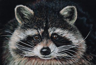 Karen Turner; Thirsty Work, 2014, Original Pastel, 12 x 10 inches. Artwork description: 241  Raccoon  ...