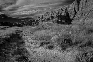 George Wilson; Deer Haven I, 2016, Original Photography Black and White, 30 x 20 inches. Artwork description: 241    Infrared Black and White Landscape at Conata Picnic Area Trailhead, SD - printed on a 116 aluminum sheet and mounted with a metal easel or float mount so they are ready to display as soon as they arrive    ...