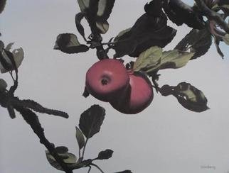 Peter Winberg; Apples In The Sun, 2003, Original Painting Oil, 35 x 27 cm. Artwork description: 241 Painted: 2004. Size: 35x27cm. Oil on canvas board. Painted from a photograph I took when visiting Brosarps backar,in the south- east of Skane....