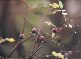 Peter Winberg; Rose Hip, 2003, Original Painting Oil, 35 x 27 cm. Artwork description: 241 Motif from photograph, taken by Stefan Axelsson. Painted in oil on canvas board....