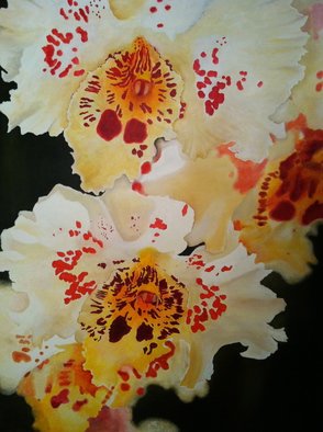 Hermon  Woodall; Le Moye, 2014, Original Painting Oil, 48 x 60 inches. Artwork description: 241   Limited Edition Orchid. Le Moye ...