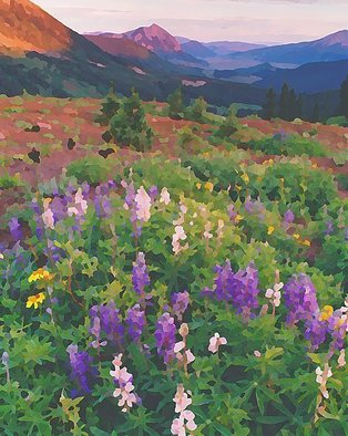 Steve Tohari; Wildflowers Crested Butte 1, 2018, Original Photography Color, 16 x 20 inches. Artwork description: 241 Lupine near Crested Butte, Colorado. Photograph edited for painted effect. Colorado, Crested Butte, wildflowers, Lupine...