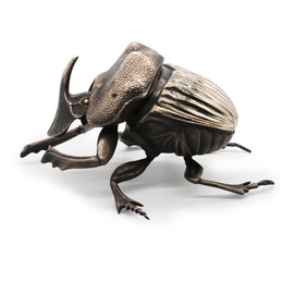 Dung Beetle, Anne Pierce