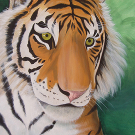 Environmental Artist Apollo: 'Siberian Beauty', 2010 Acrylic Painting, Conceptual. Artist Description: World Renown Environmental Apollo Celebrates Chinese New Years and Earth day at the same time.  This is one of two images celebrating the year of the Tiger.  Apollo while teaching at a university in China was taken to see the largest captive collection of Breeding Siberian Tigers in ...