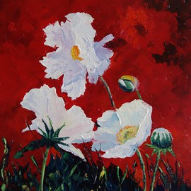 Valerie Curtiss: 'White on Red, Poppies', 2015 Oil Painting, Floral. Artist Description:  Floral, red, white, poppies, field, meadow, wildflower, summer, nature, plants, palette knife, acrylic    ...