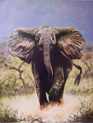 Judith Smith Wilson: 'Charging Elephant', 1991 Pastel, Wildlife.  Limited Edition Print Only  S/ N 500 Original Sold  ...