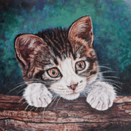 Here Kitty, Kitty, Kitty By Judith Smith Wilson