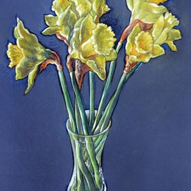 daffodils By Austen Pinkerton