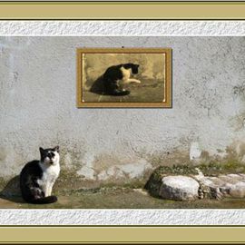Dragutin Barac: 'Cat', 2011 Color Photograph, Cats. Artist Description:  Photography, photoshop manipulated. ...