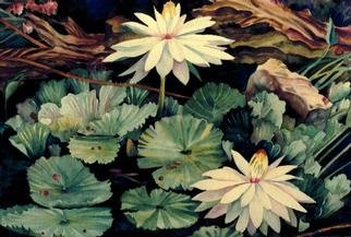 Lesta Frank: 'White Waterlily 2', 2001 Watercolor, Floral. This painting was done while I sat in front of a friend' s lily pond. I love the drama of the rich contrasts of deep darks and delicate transparent lights. This is a giclee print of the original watercolor....