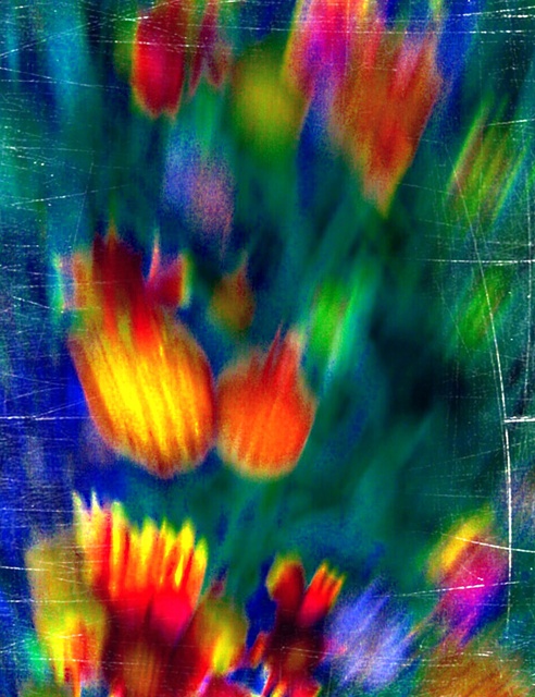 Bernadette  Rivera  'Tulip Tenacity', created in 2016, Original Photography Mixed Media.