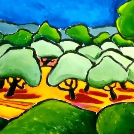 olive grove near lourmarin  By Krisztina Lantos