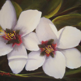 Colleen Balfour: 'Almond White', 2009 Oil Painting, Floral. Artist Description:   flowers, white, still life, bouquet, flora ...