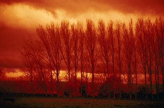 Corrie Ancone: 'WINTER DUSK', 2010 Color Photograph, Landscape.  photographic overlay...