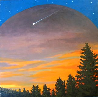 David Cuffari: 'shooting star', 2009 Acrylic Painting, undecided. 