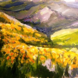 Daniel Clarke: 'california poppies', 2017 Acrylic Painting, Landscape. Artist Description: Along the coastal highway California poppies invite us to our golden state Acrylic on board...