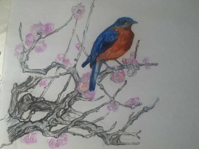 Daniela Vasileva  'Bird 2', created in 2016, Original Drawing Ink.