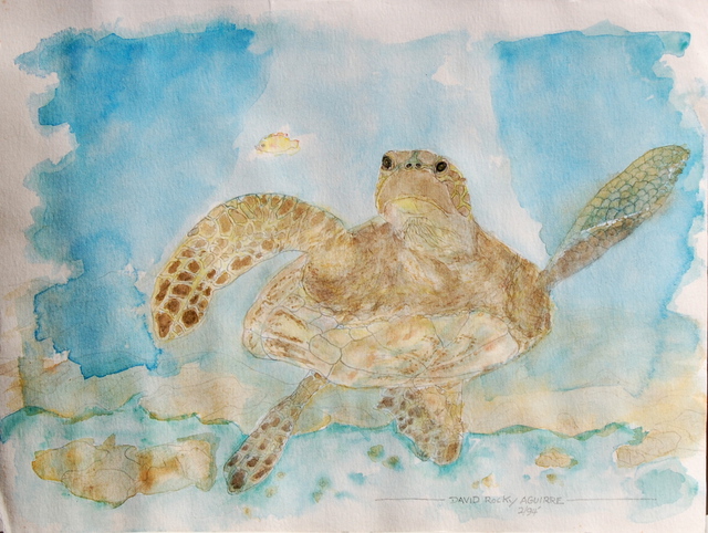 Artist David Rocky Aguirre. 'Hawaiian Turtle' Artwork Image, Created in 1994, Original Drawing Pen. #art #artist