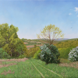 Dejan Trajkovic: 'the meadow in spring', 2017 Oil Painting, Landscape. Artist Description: Oil on linen. Stretched canvas, unframed for now. Painted with high quality oil colors. Same scene I already painted in summer and winter. Autumn is also scheduled and it will be realized in next few months...