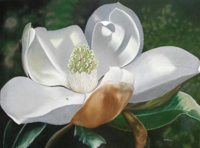 Delmus Phelps  'Joys Magnolia', created in 2008, Original Painting Oil.