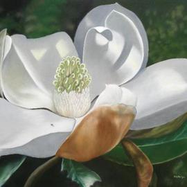 Delmus Phelps: 'Joys Magnolia', 2008 Oil Painting, Floral. Artist Description:  A neighbors delight.  All thats missing from this southern beauty is its sweet, sweet smell! Buy Now! before the gallery sells it! ...