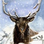 Winter Deer, Deborah Paige Jackson