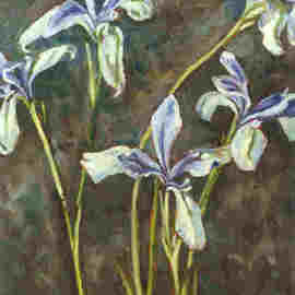 Donna Gallant: 'Spring Irises', 2001 Oil Painting, Floral. Artist Description:  A lovely delicate iris is executed in this piece. ...