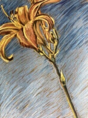 Donna Gallant: 'day lily 1', 1998 Pastel, Floral. The life of a day lily is short but they remind me of a triumph blowing. Perhaps itaEURtms celebrating itaEURtms brilliant life. ...
