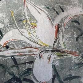 white lily 1  By Donna Gallant