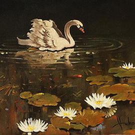 lonely swan By Dusan Vukovic