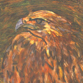 Bird Of Prey, Richard Wynne