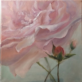 Elena Mardashova: 'rose in closeup', 2020 Oil Painting, Floral. Artist Description: Original oil painting  Rose in close- up ,on canvas 40 x 40 cm,2020...