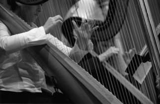 Ellen Rosenberg: 'multiple harps', 2006 Silver Gelatin Photograph, Music. 