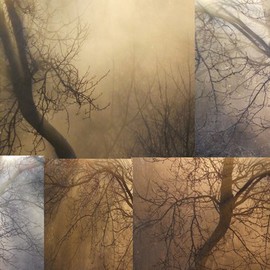 Emilio Merlina: 'for a sunbeam', 2011 Color Photograph, Fantasy. Artist Description:  collage of digital photos    ...