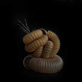 Emilio Merlina: 'in the time coils', 2011 Mixed Media Sculpture, Fantasy. 