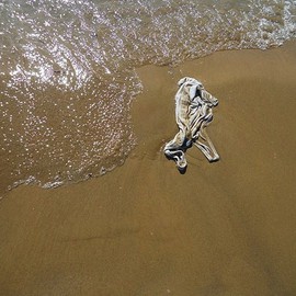 Emilio Merlina: 'it was not me the One walking on the water', 2012 Color Photograph, Fantasy. 