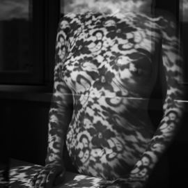 Mikhail Faletkin: 'lace 12', 2016 Black and White Photograph, Nudes. Artist Description: In this nude photos with interesting lacy shadows and reflections, lace with clouds is merging . . .  or the clouds turn into an openwork pattern of shadows, but can the lace on the contrary soar into the cloudsLimited signed edition 1 of 30...